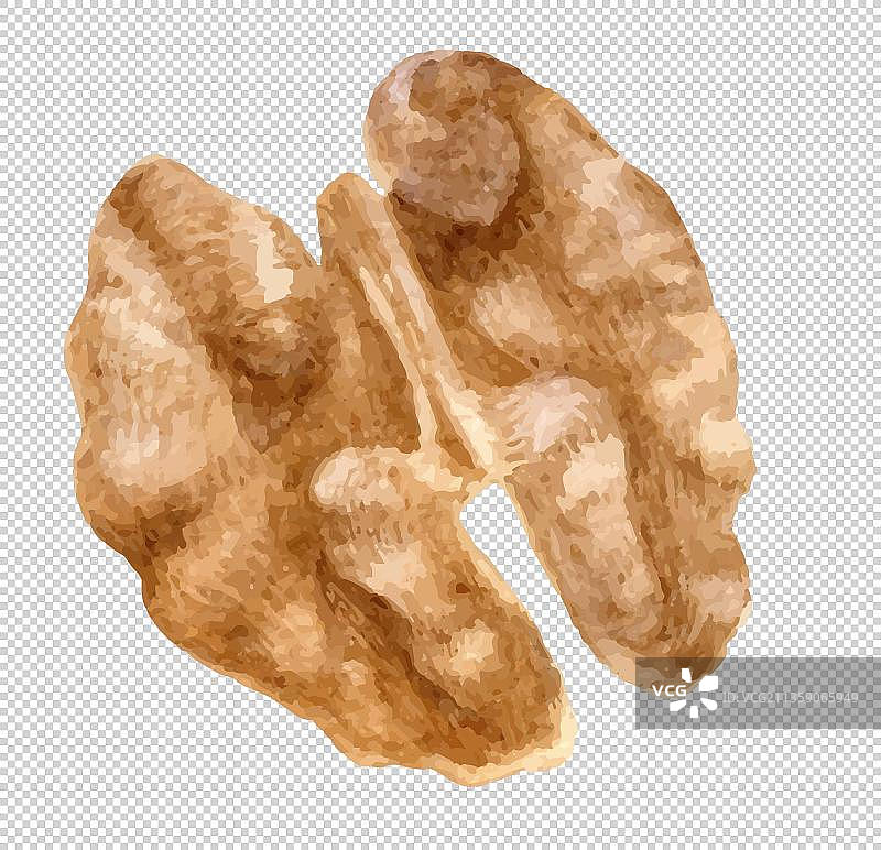 核桃仁坚果图片素材