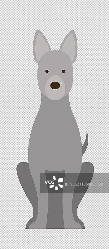 一只牛头梗图片素材