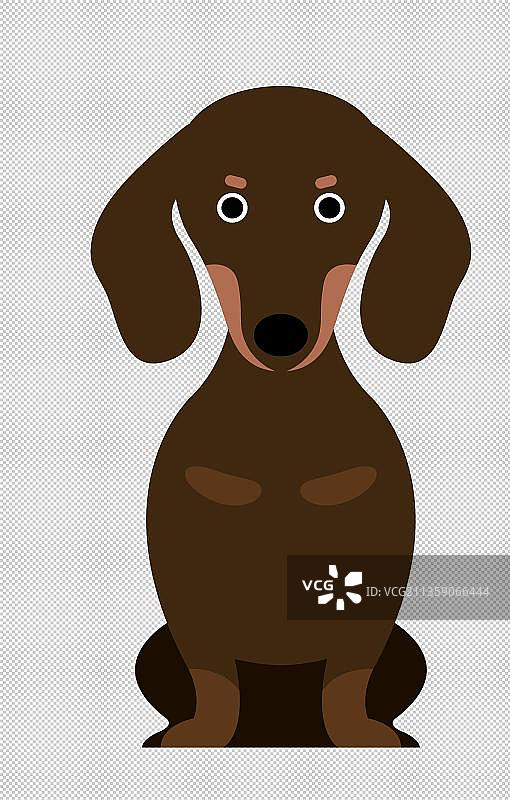 一只腊肠犬图片素材