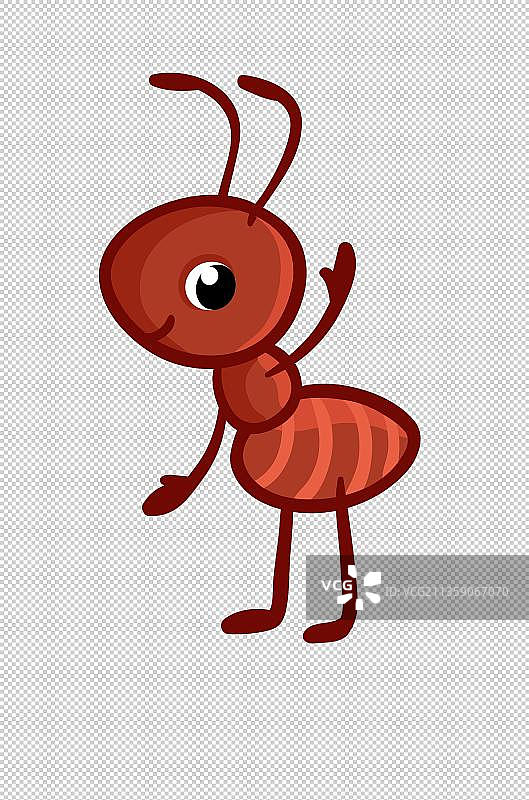 一只蚂蚁图片素材