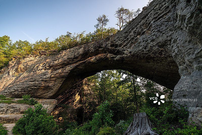 帕克斯湖岩层仰视角度美景，美国肯塔基州图片素材