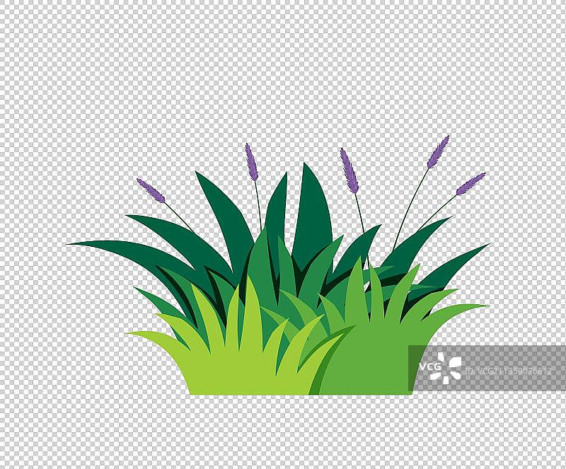 漫画风薰衣草元素图片素材