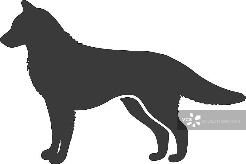 哈士奇轮廓 西伯利亚北方犬艺术图片素材