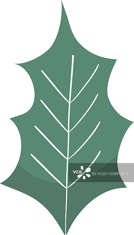 槲寄生叶子图标图片素材