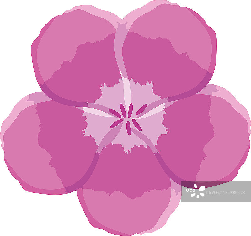 天竺葵花朵图标图片素材