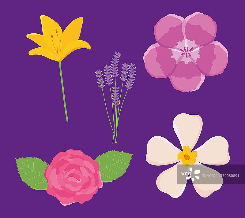 芬芳花朵图标合集图片素材