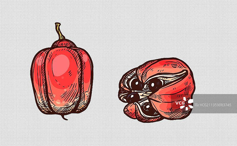 新鲜水果红宝石莲雾元素图片素材