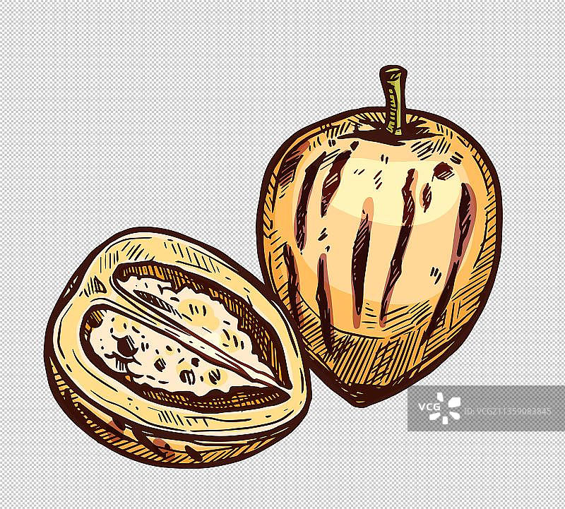 新鲜水果人参果免抠元素图片素材