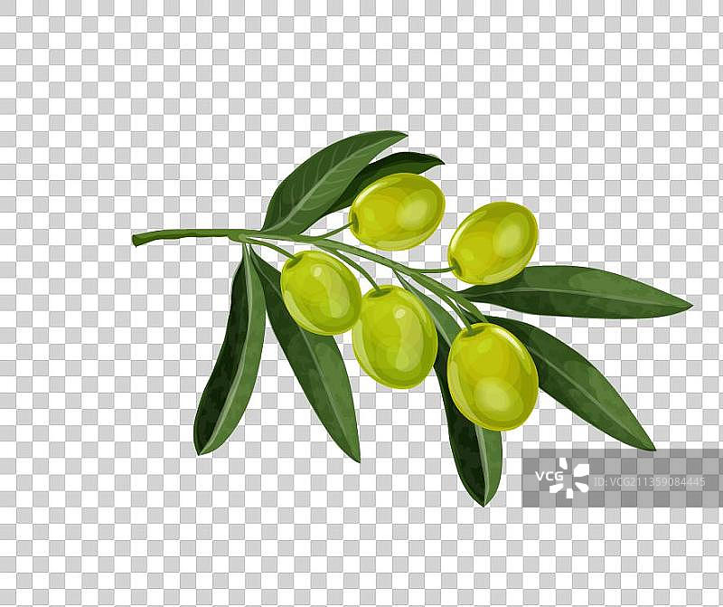 卡通一串青提元素图片素材