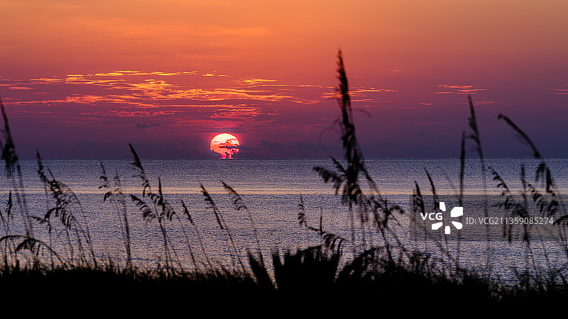 海边植物剪影与橙色天空，迪尔菲尔德海滩，佛罗里达，美国图片素材