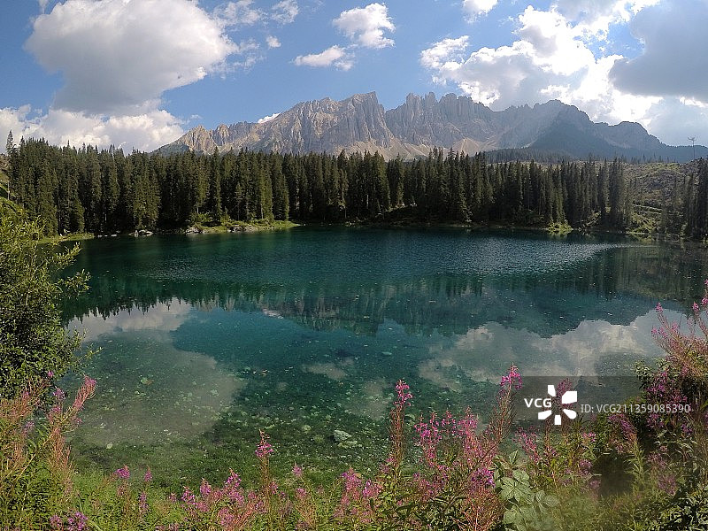 树木与天空相映的湖景图片素材