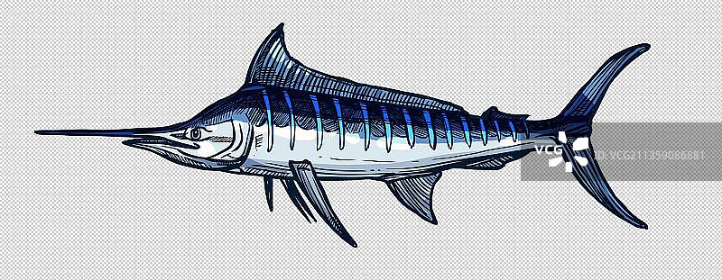 卡通尖嘴蓝色深海鱼图片素材