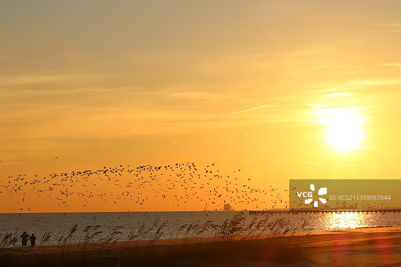 美国密西西比州比洛克西日落时分飞过海面的鸟儿剪影图片素材