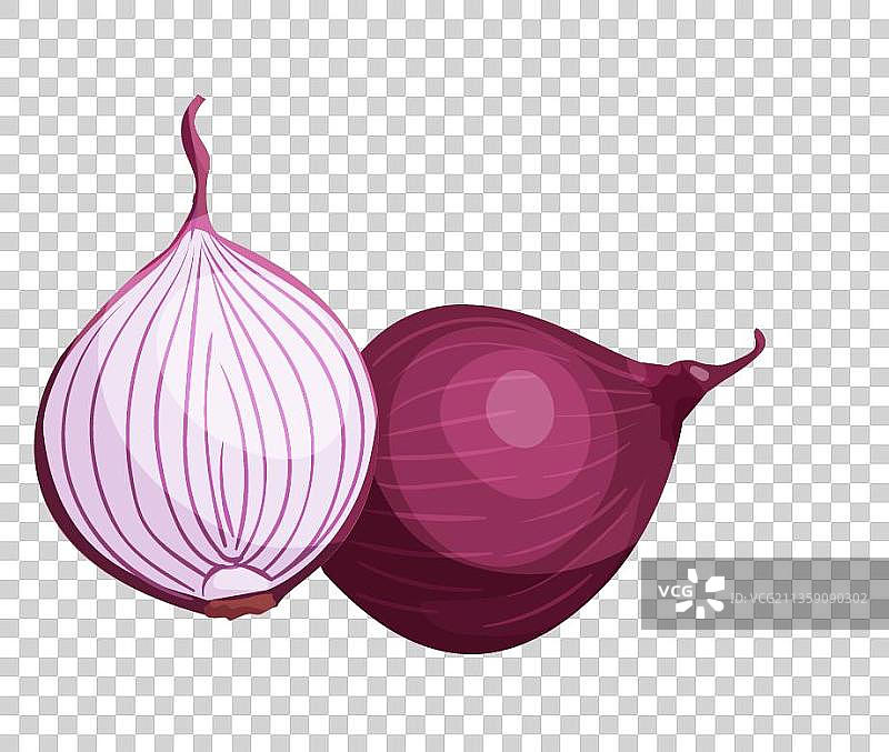 洋葱元素图片素材