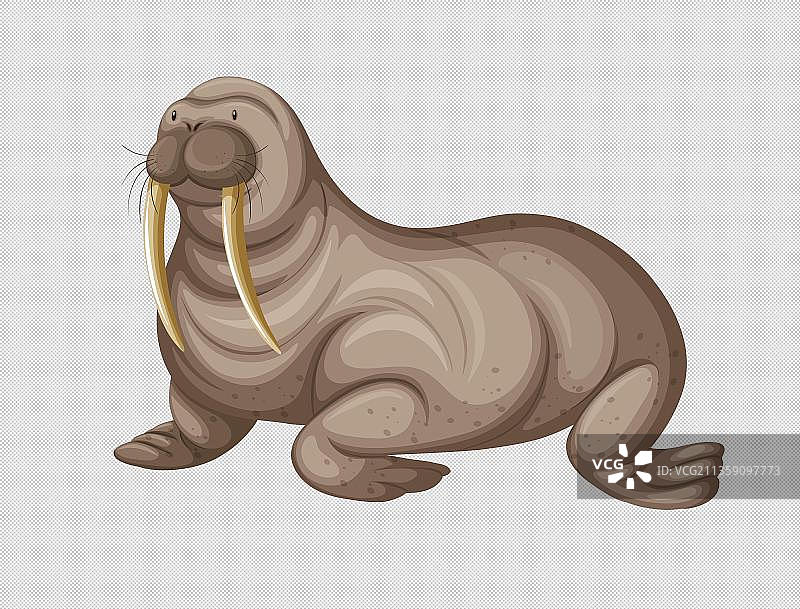 海象卡通高清png免抠元素图片素材