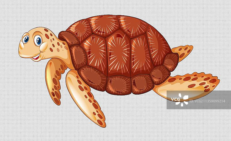 卡通海龟图片素材