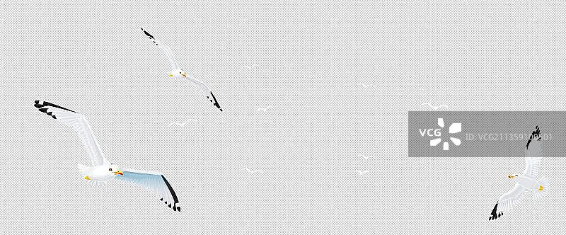 卡通天空中飞翔的海鸥图片素材