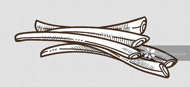 简笔画大葱元素图片素材