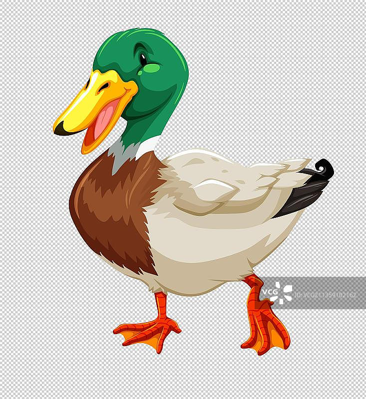 野鸭卡通高清png免抠元素图片素材