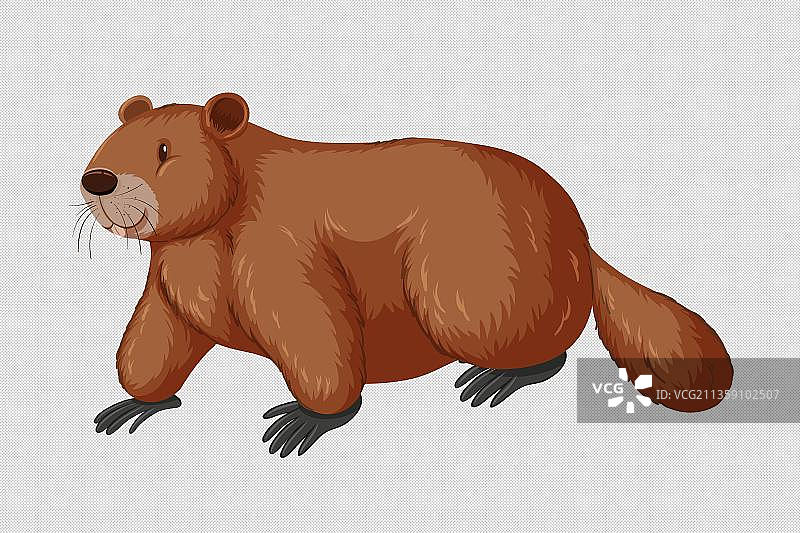 土拨鼠卡通高清png免抠元素图片素材