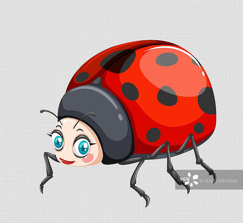 手绘卡通七星瓢虫元素图片素材