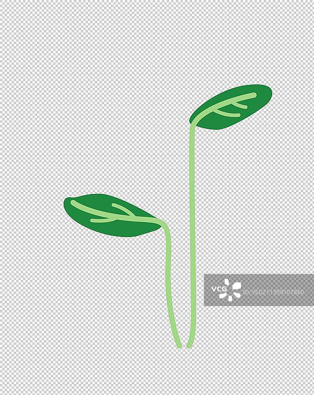 卡通绿色的豆芽小苗元素图片素材