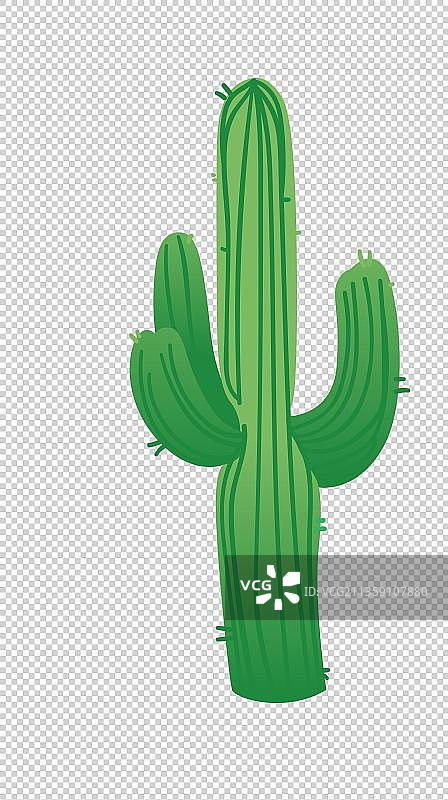 绿色仙人掌元素图片素材