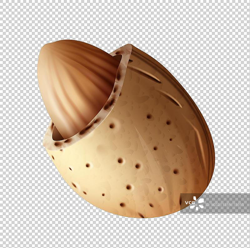 手绘巴旦木元素图片素材