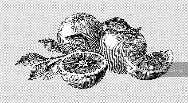 黑白风香柚元素图片素材