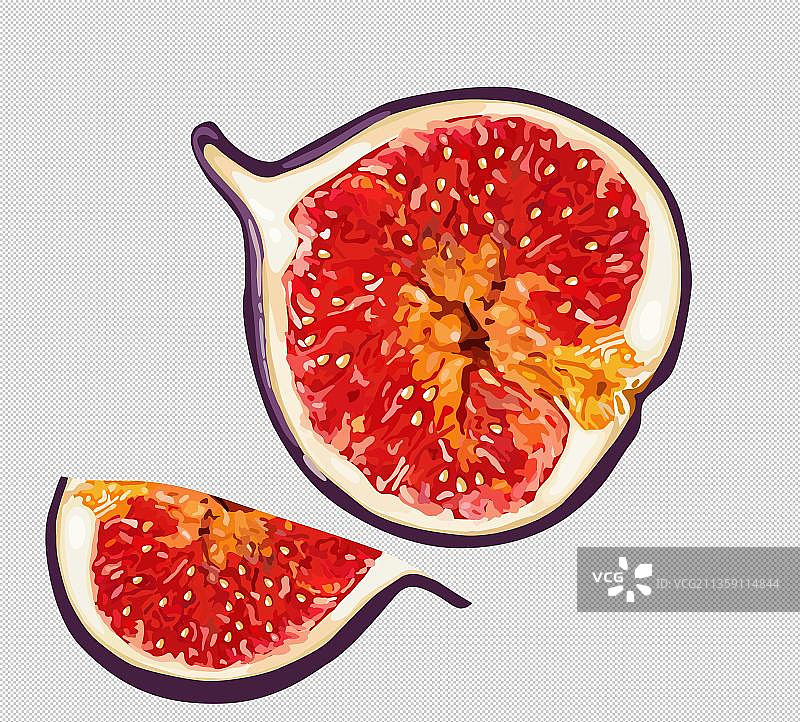 无花果水果高清PNG素材图片素材