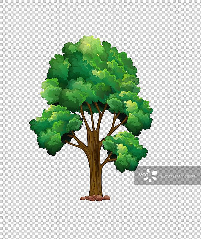 大树元素图片素材