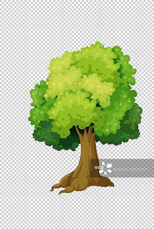 一颗大树元素图片素材