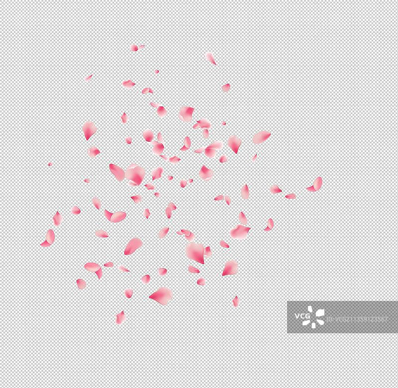 高清花瓣散落图图片素材