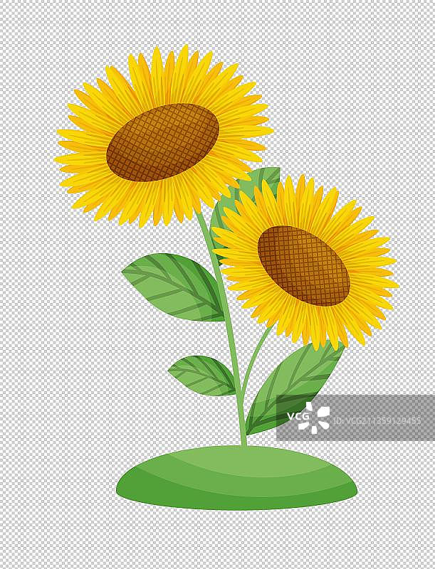 手绘卡通向日葵图片素材