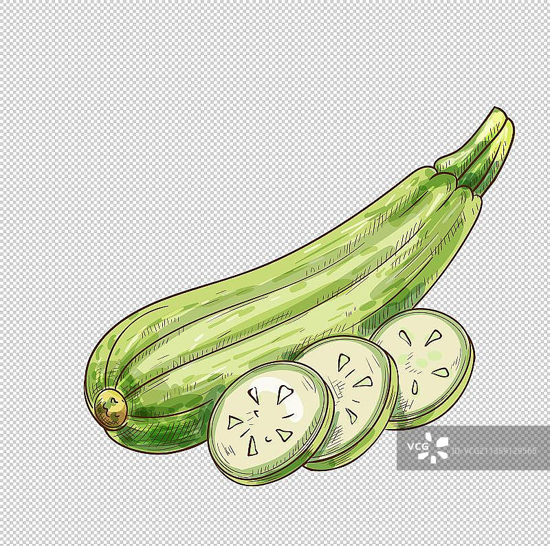 绿色蔬菜西葫芦图片素材