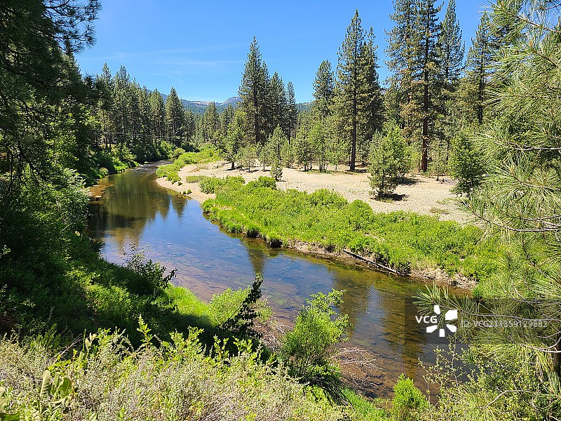 美国加利福尼亚州熊河水库森林中湖泊的迷人景色图片素材