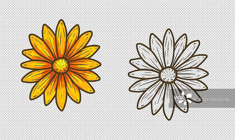 简笔画菊花元素图片素材