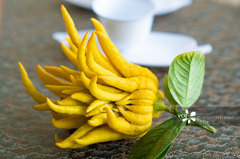 佛手柑图片素材