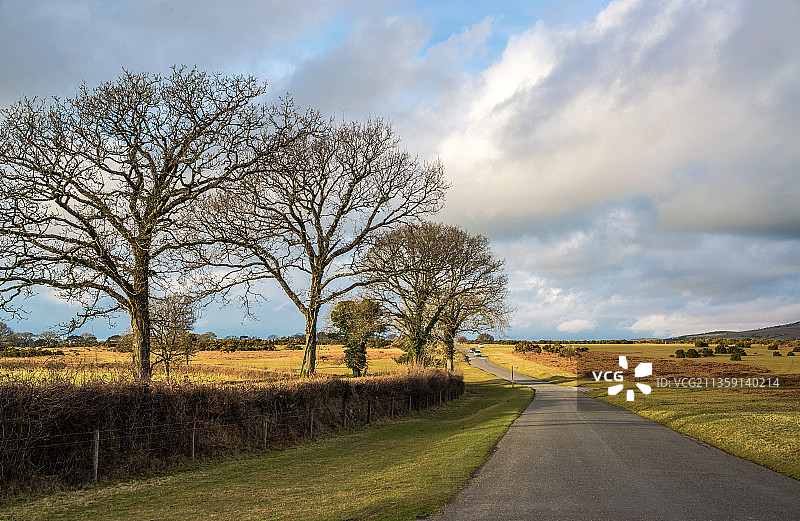 英国达特穆尔国家公园的乡村空旷道路图片素材