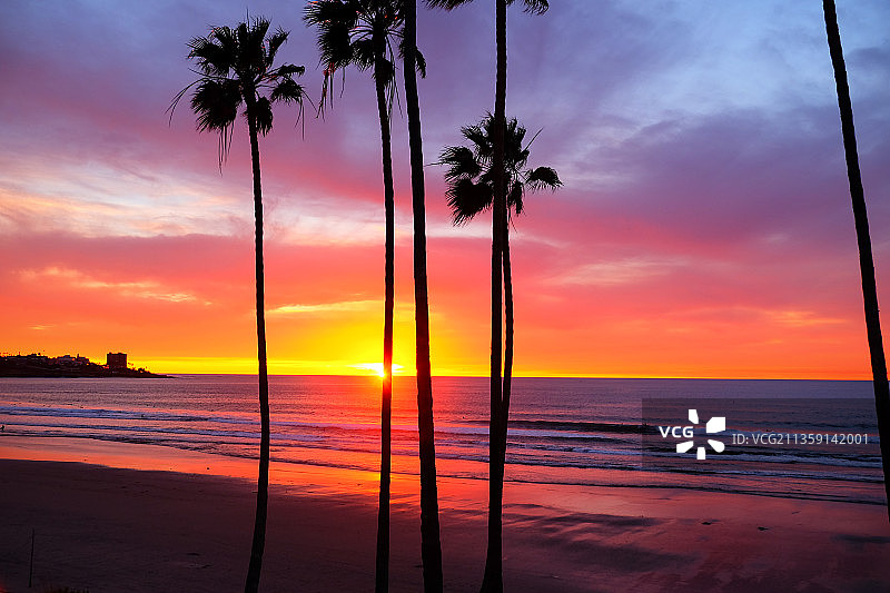 日落时分，美国拉霍亚海滩上的棕榈树剪影图片素材