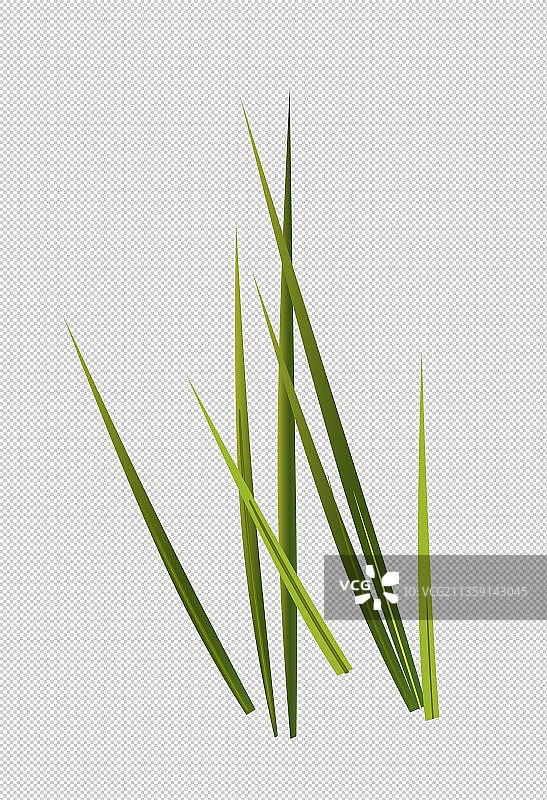 葱元素图片素材