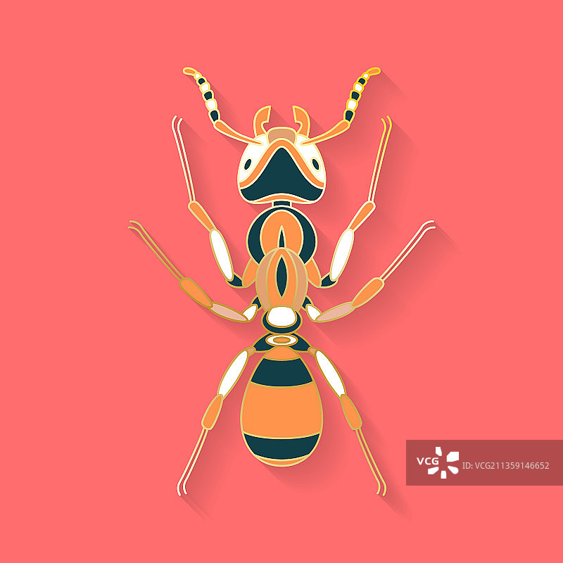 抽象图形昆虫标志图片素材
