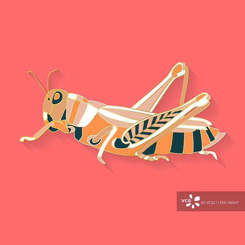 抽象图形昆虫标志图片素材