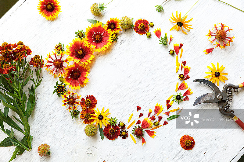 白色背景上的鲜花高角度视图图片素材