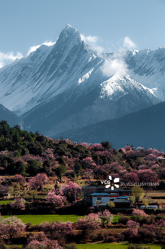 西藏滇藏云南盐田雪山冬季雪景日出日落桃花林芝南迦巴瓦梅里冷春图片素材