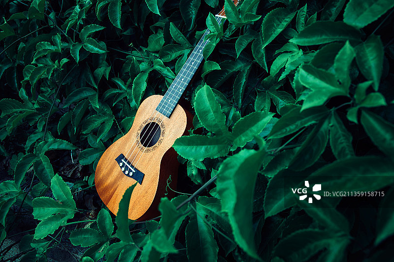 吉他浪漫情怀线条天籁音乐图片素材