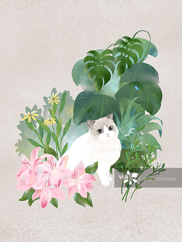 花丛中的白色奶牛猫图片素材