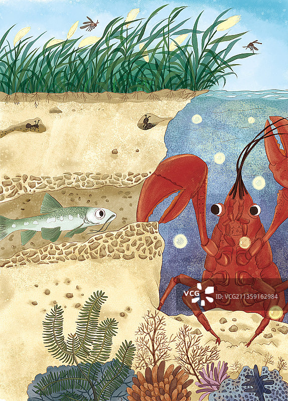 海底世界图片素材