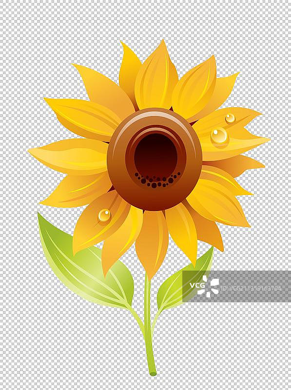 向日葵元素图片素材