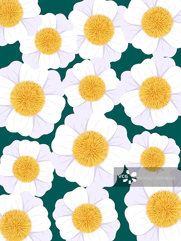 白色花瓣黄色花蕊的花铺满画布图片素材